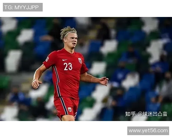 足球球星的荣耀与权威地位探秘全球绿茵传奇力量